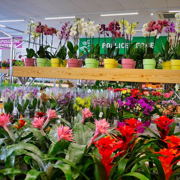 L'AGRIGARDEN FOGLIOLINA