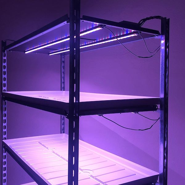 Carrello DC con kit luci led per MICROGREENS