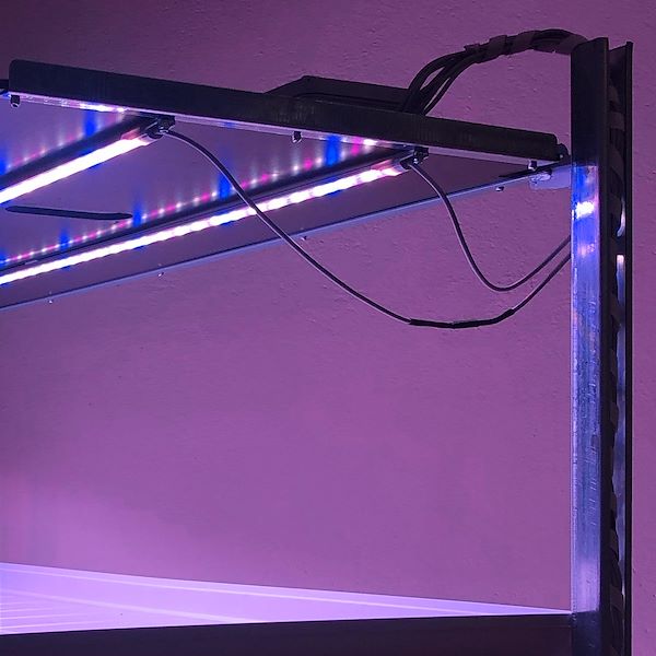 Carrello DC con kit luci led per MICROGREENS