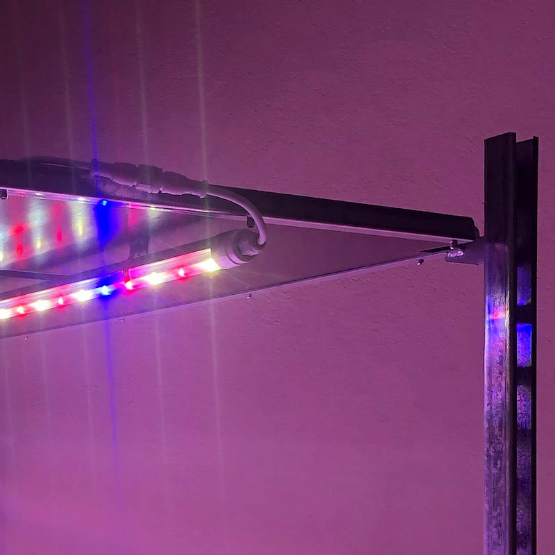Carrito DC con kit de iluminación led para microvegetales