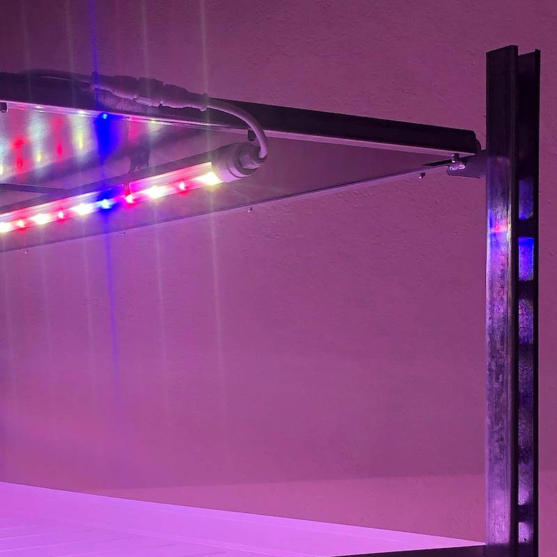 Carrito DC con kit de iluminación led para microvegetales