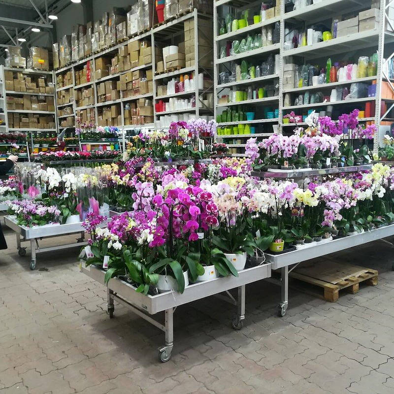 Mesa soldada en Aluminio con Ruedas