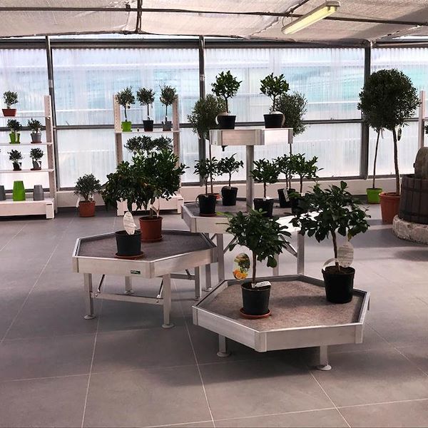 HEXAGONE: set d'exposition