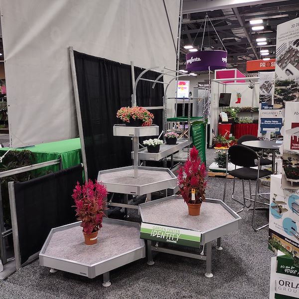 سداسية العرض