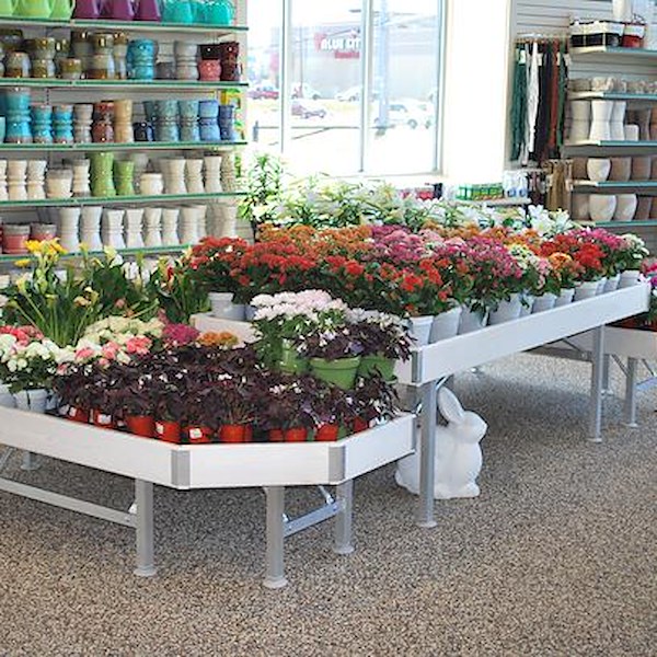 مقعد ذات أحرف خشب أمور