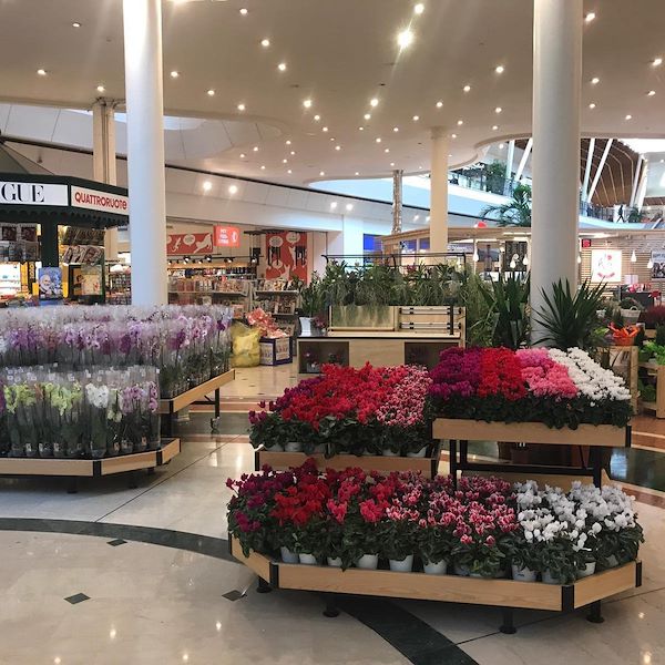 Holztisch Linie AMOR