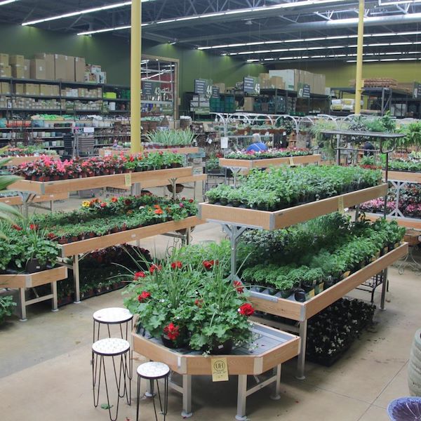 End Cap, Wood line AMOR