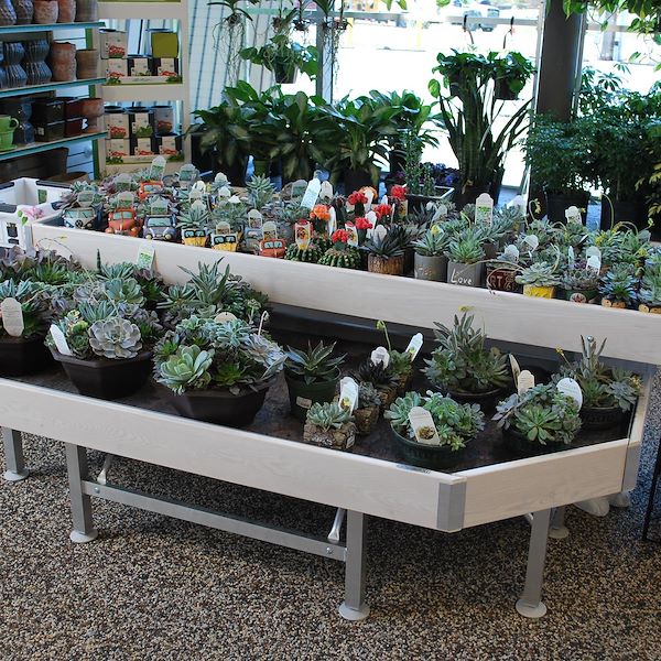 End cap Holzlinie AMOR