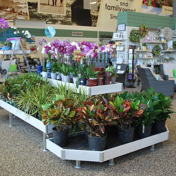 End cap Holzlinie AMOR