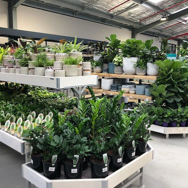 End Cap Linea Legno AMOR