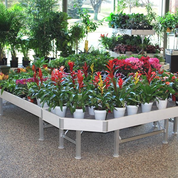 End Cap Linea Legno AMOR