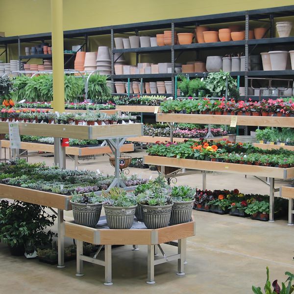 Bancale Rialzato Linea Legno AMOR