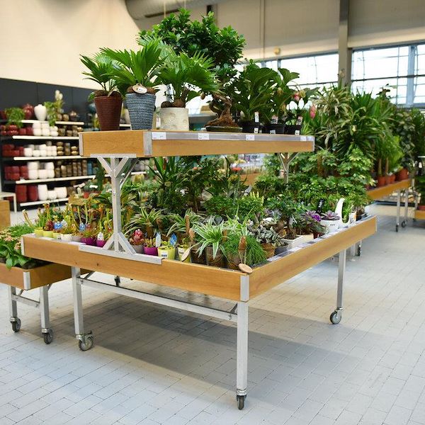 Table surélevée Ligne en bois AMOR