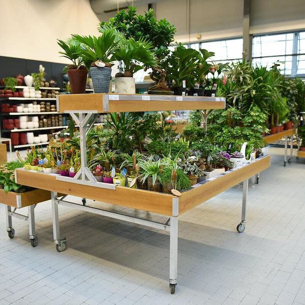 Bancale Rialzato Linea Legno AMOR