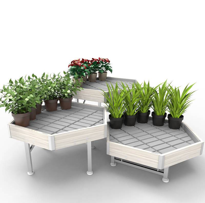 Esagono: set espositivo Linea Legno AMOR