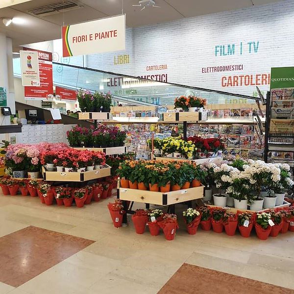 Table hexagonale Ligne en Bois AMOR