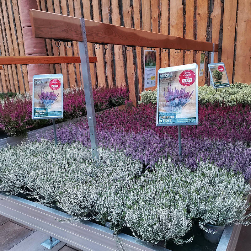 Barra porta schede in legno