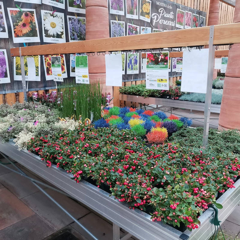 Porta gráfica en madera con soporte regulable en altura