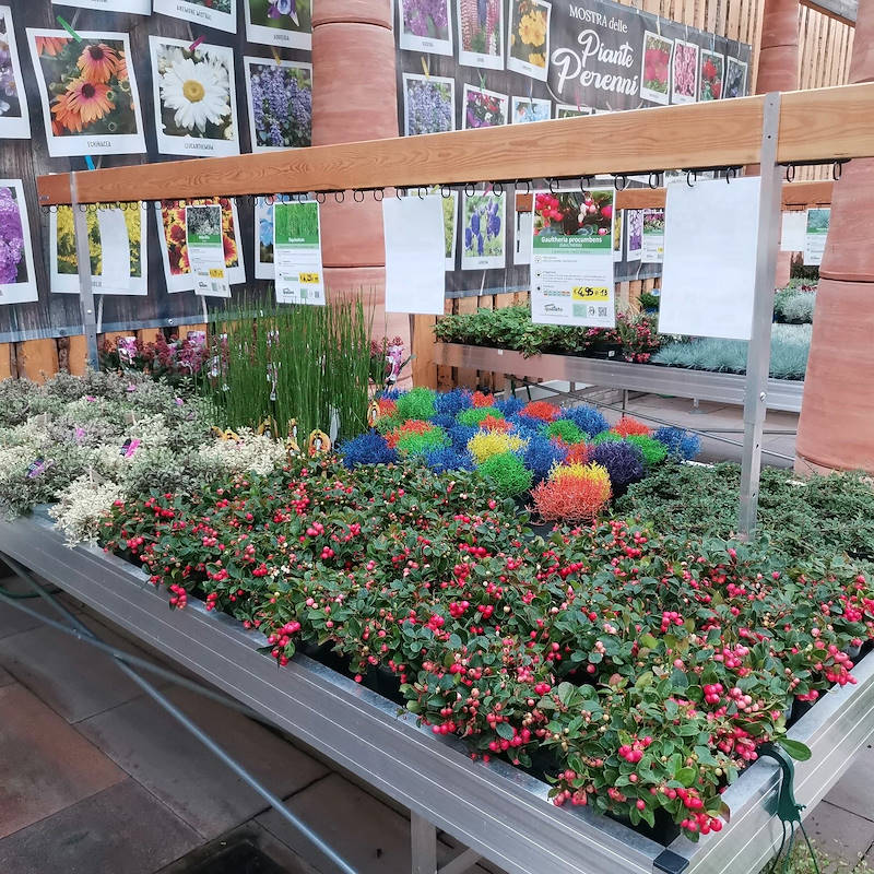 Barra porta schede in legno