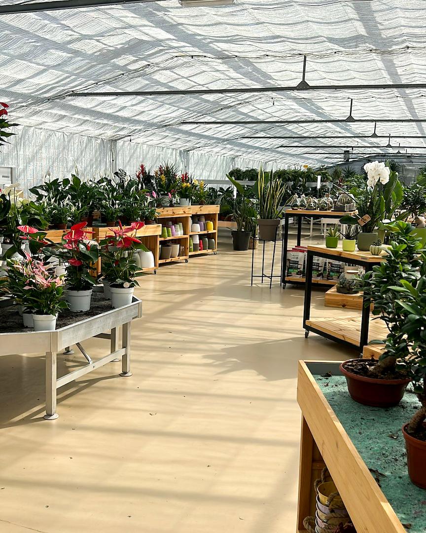 Dal vivaio al Garden Center: il restyling di Floricoltura Benda