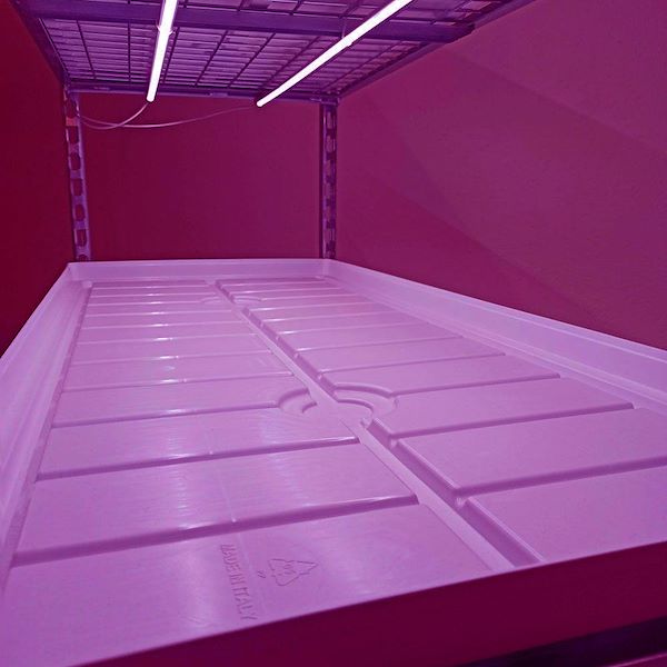 Wire-mesh trolley with LED lights kit for microgreens