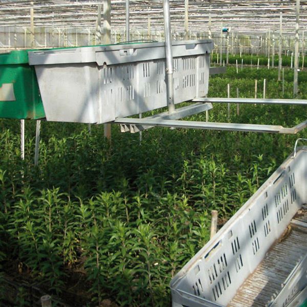 Cesta para transporte de flores