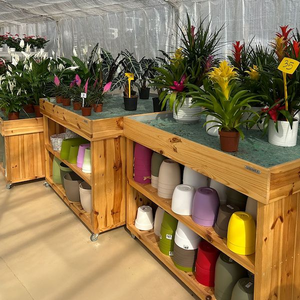 Dal vivaio al Garden Center: il restyling di Floricoltura Benda