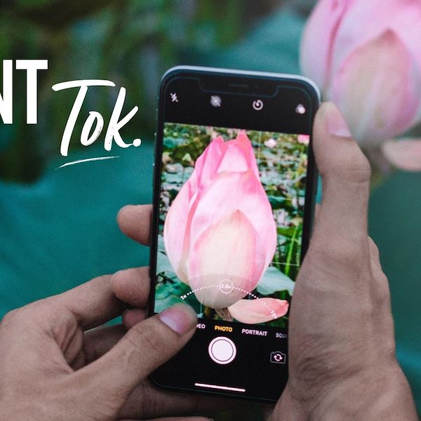 2023 Garden Trends Report - Part Two