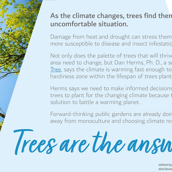 2023 Garden Trends Report - Part Three