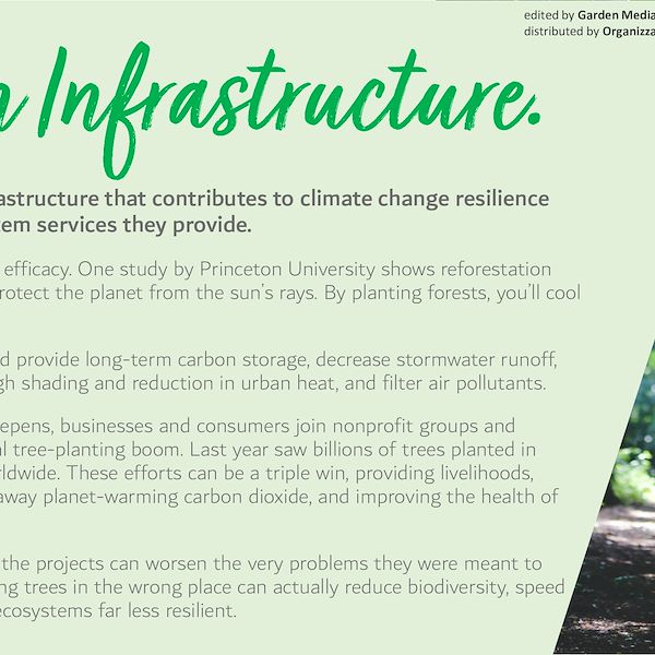 2023 Garden Trends Report - Part Three