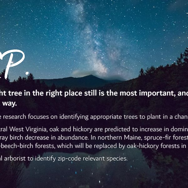 2023 Garden Trends Report - Part Three