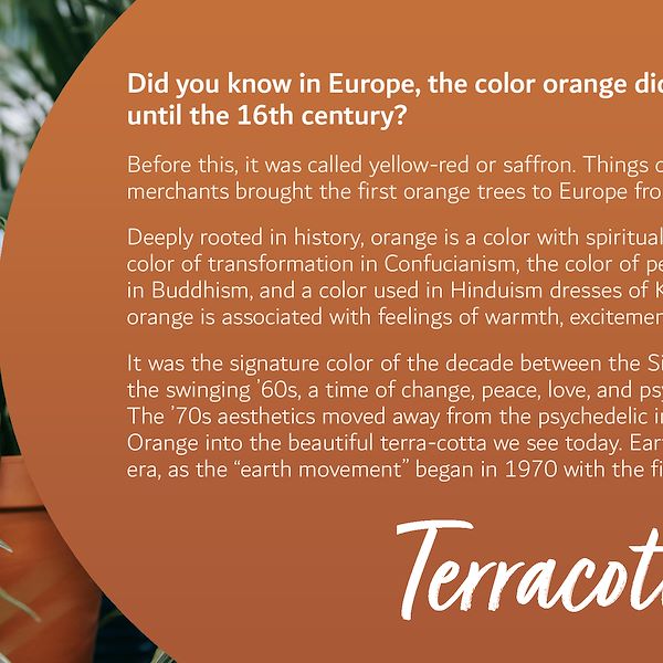 2023 Garden Trends Report - Part Three