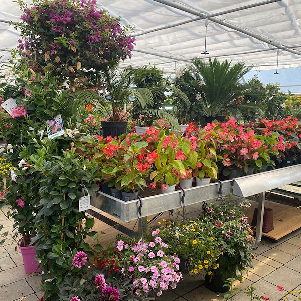 JARDINERIE DU CHÊNE – Anthy-sur-Léman, Francia: Un progetto su misura