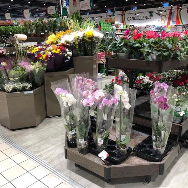 مقعد ذات أحرف خشب أمور