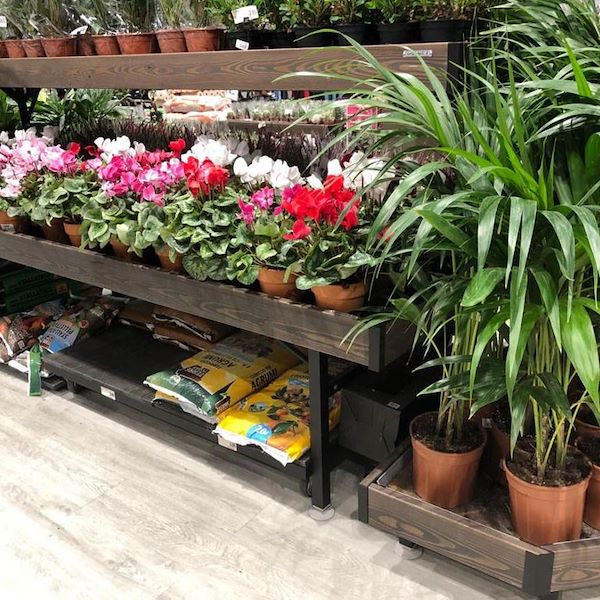 مقعد ذات أحرف خشب أمور