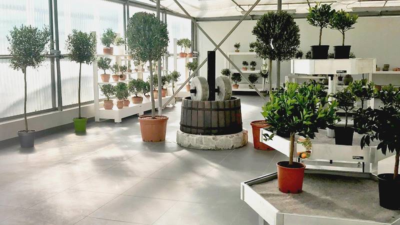 L'Az. Agr. Anania Patrizia si rifà il look: il nuovo Showroom griffato Orlandelli