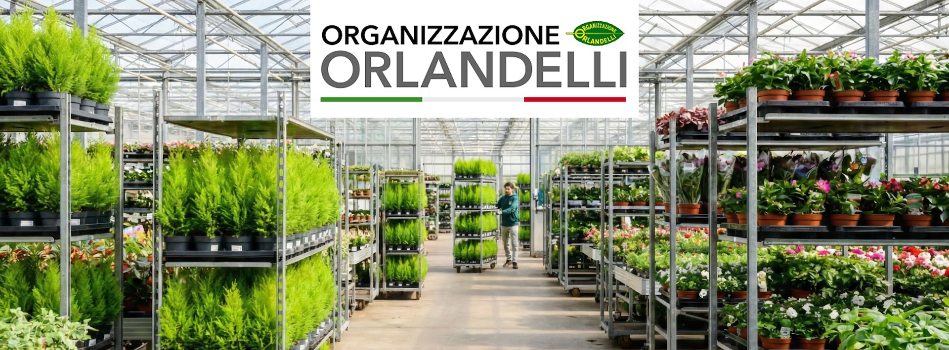 La logistica di piante e fiori ed il circuito dei carrelli DC