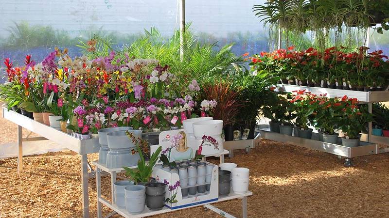 Costa Farms, concept espositivo