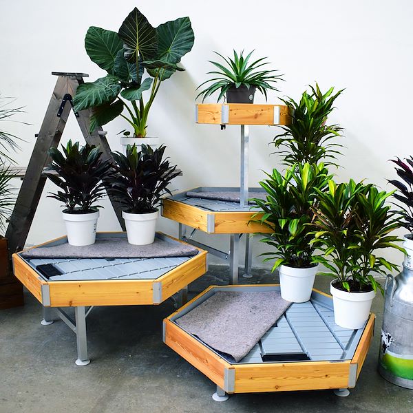 Sechseckiger Holztisch Linie Amor