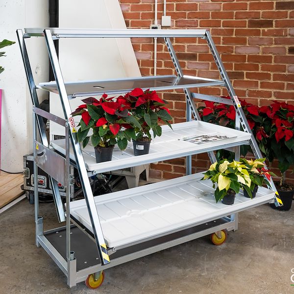 Presentazione Area Confezionamento