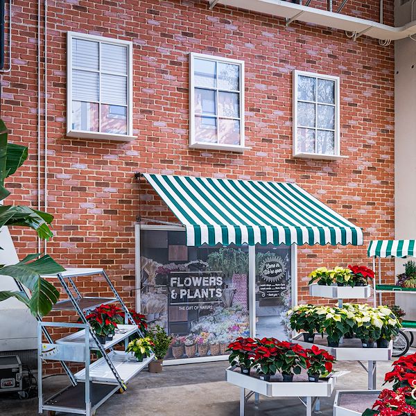 Presentazione Area Confezionamento