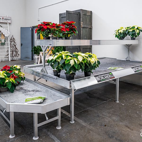 Presentazione Area Confezionamento