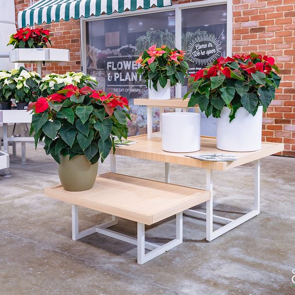 Presentazione Area Confezionamento