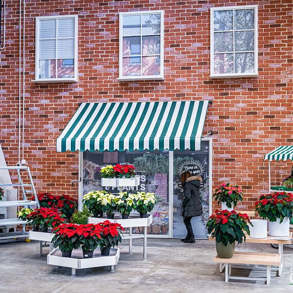 Presentazione Area Confezionamento