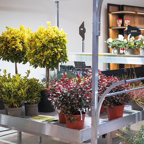 Presentazione Area Confezionamento