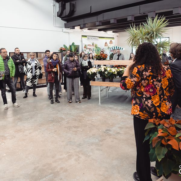 Presentazione Area Confezionamento