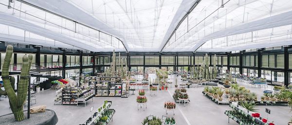 Desert City, il deserto più grande di Madrid