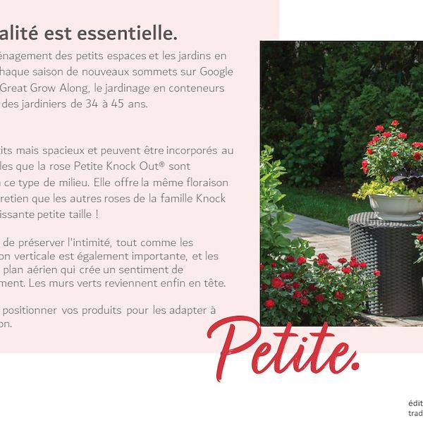 Garden Trends Report 2023 - Deuxième Partie