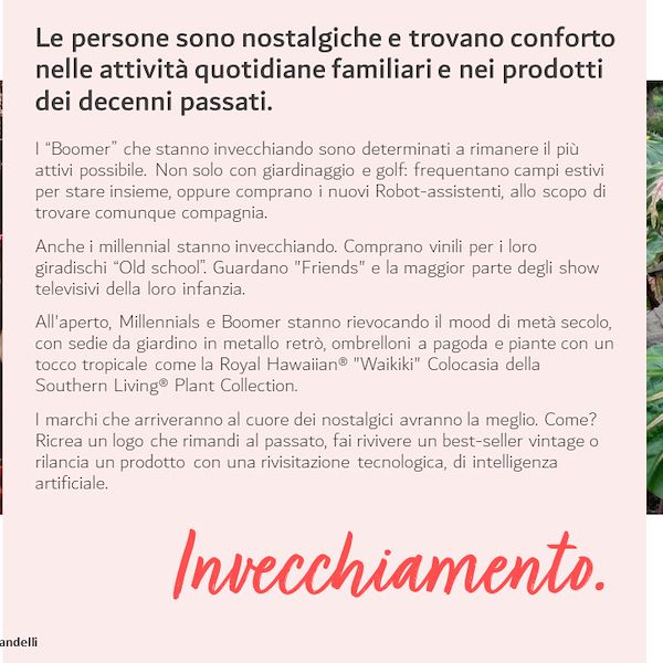 I Trend del settore Garden 2023 - 2° parte