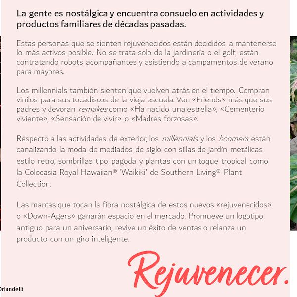 Garden Trends Report 2023 - Segunda Parte
